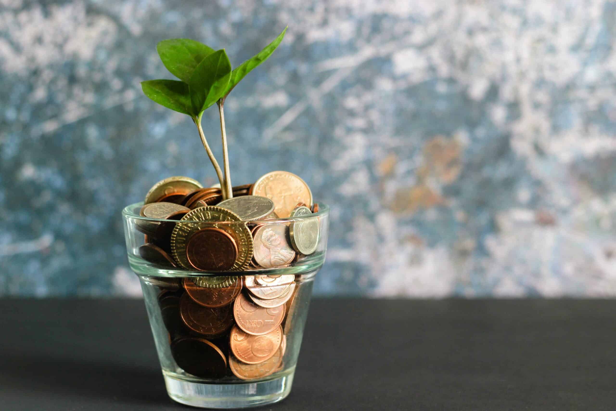 Careers in finance are seeing increasing interest